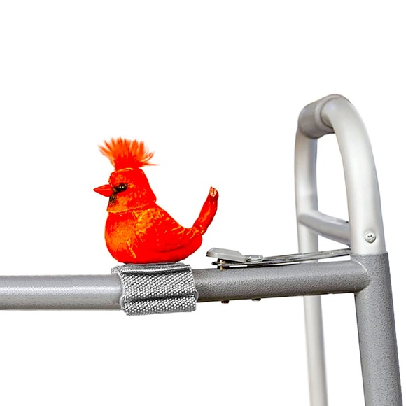 Other Walker Squawker Cheery Animatronic Bird For Companionship